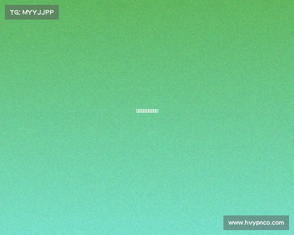 最受欢迎的格斗赛事